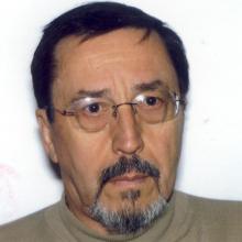 Sergei Ovchinnikov 